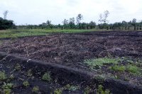 Extension du site de dandevehounhoue dans la commune de Bopa sur initiative (…)