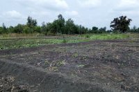 Site agricole de Dandevehounhoue alimentéé par un forage artesien à Bopa-2