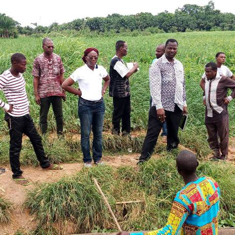 Délégation du PNE-Bénin s'entretenant avec les pêcheurs